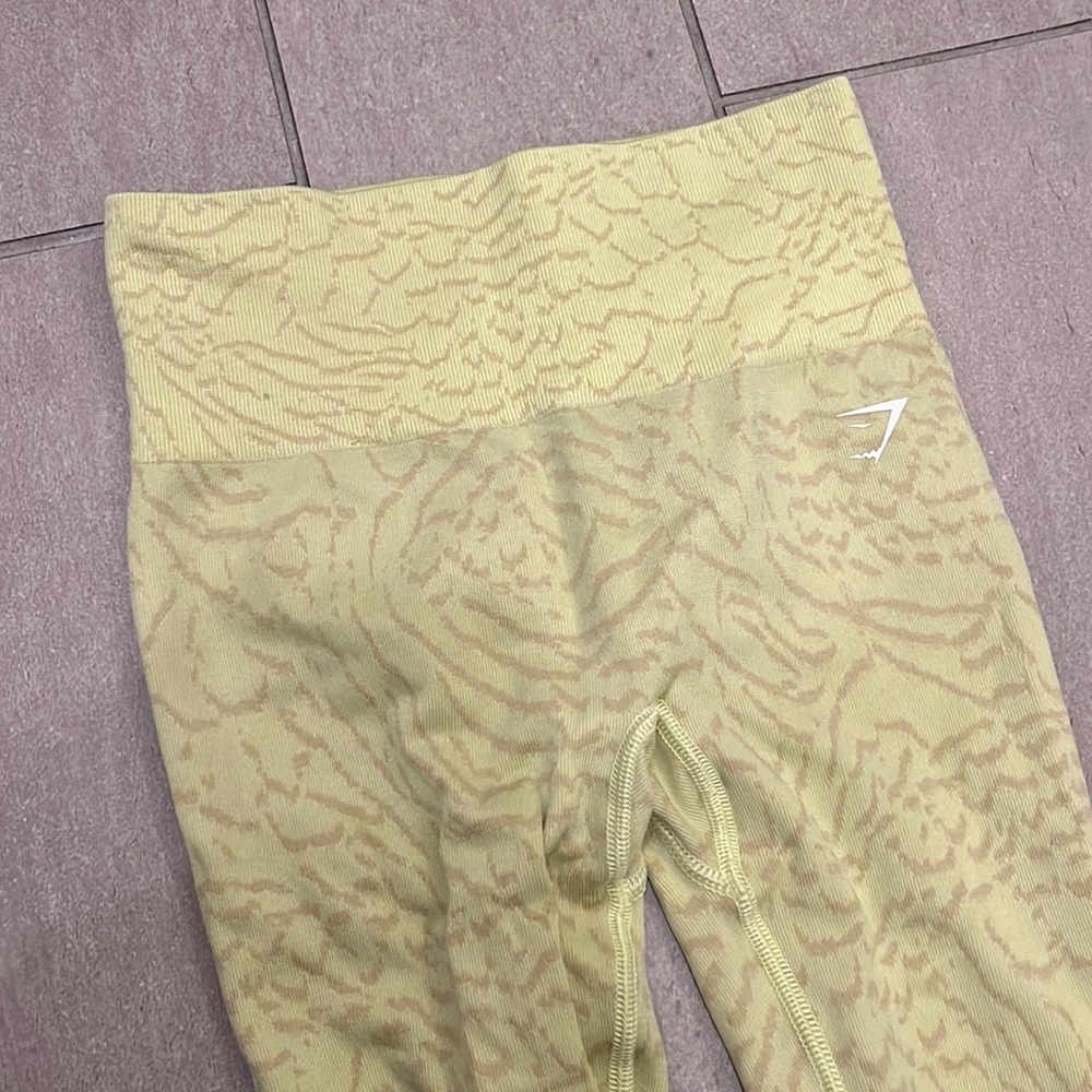 Gym shark legging
